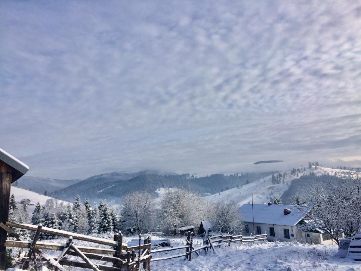 Гостевой дом Mini Cottage Яблоница